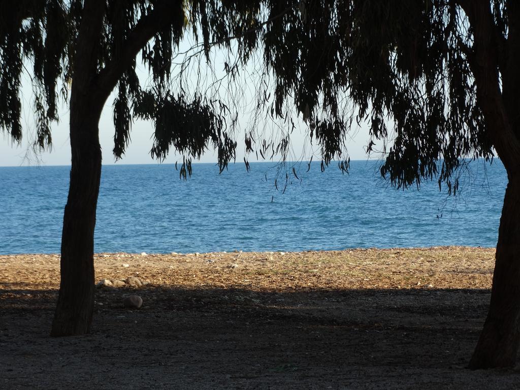 Camping El Torres Villajoyosa Eksteriør bilde